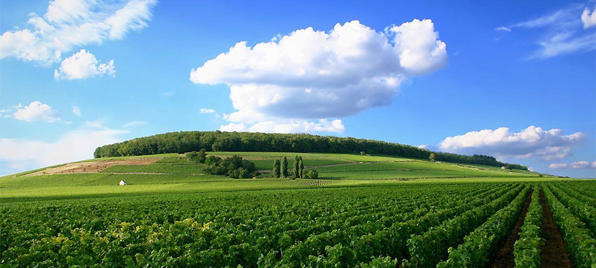 Luxury Castle Burgundy Holiday Castles Burgundy