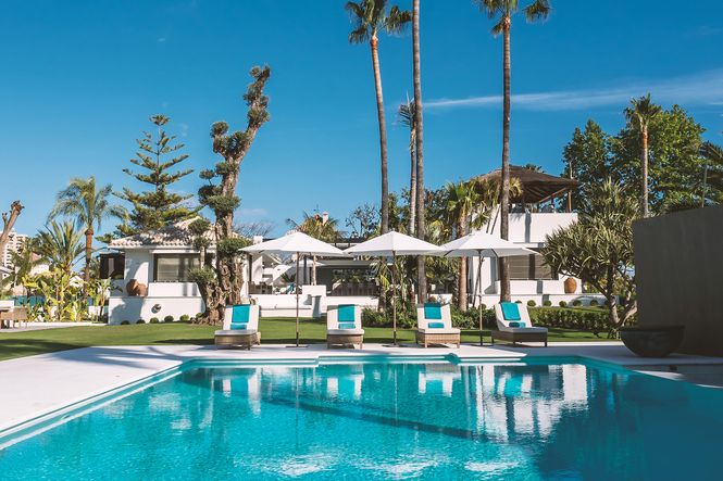 Search Results - Aloha Exclusive House Search Results - Aloha Exclusive House