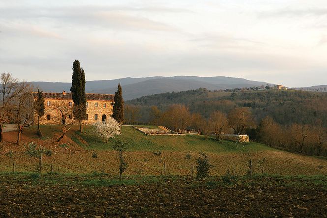 Search Results - Siena Retreat Cozy Villa Search Results - Siena Retreat Cozy Villa