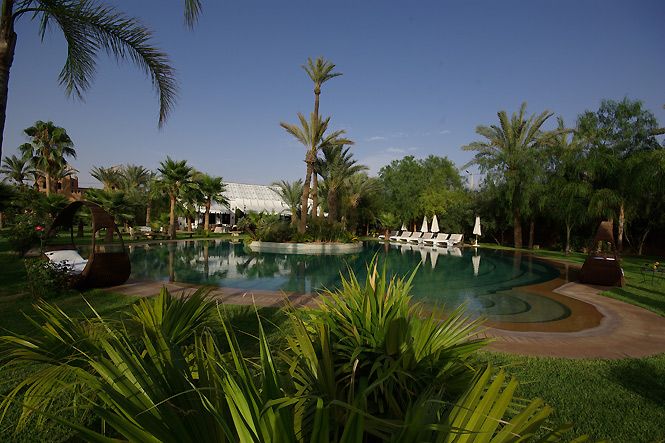 Search Results - African Vibes Luxury Lodge Search Results - African Vibes Luxury Lodge