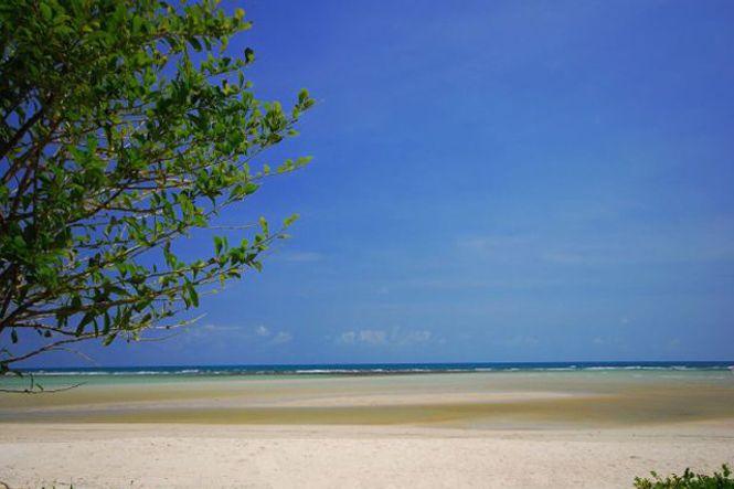 Search Results - Modernist Beach Resort Villa