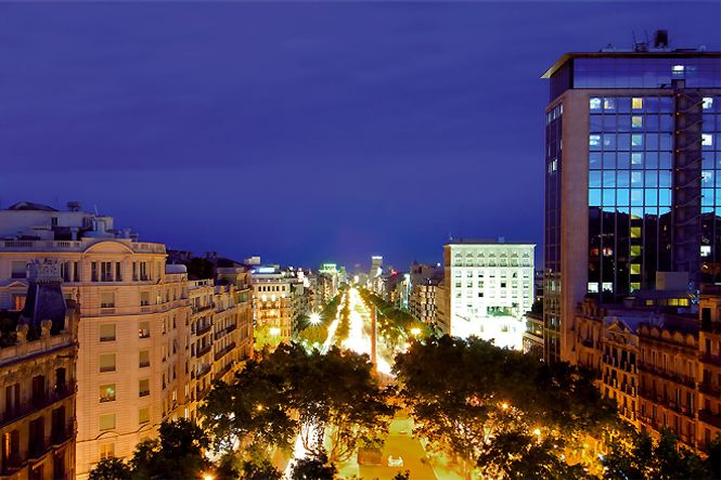 Search Results - Garden Deluxe Paseo de Gracia