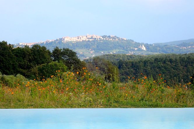 Design Home Siena