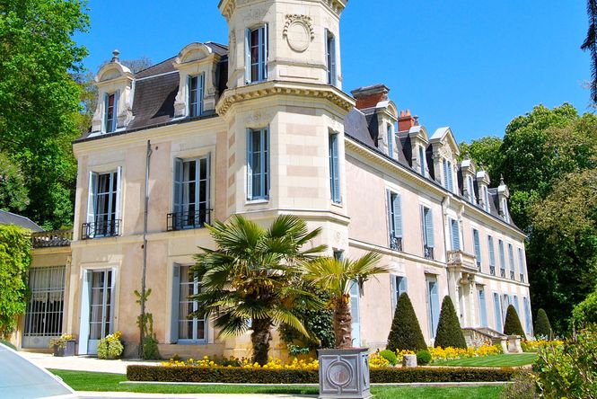 Luxury French Castle