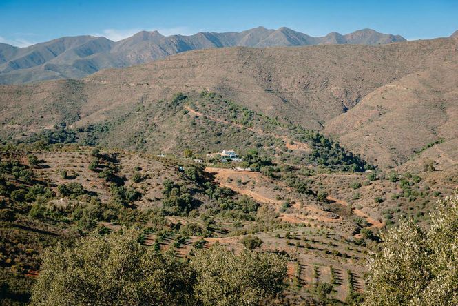 Mairena Luxury Retreat