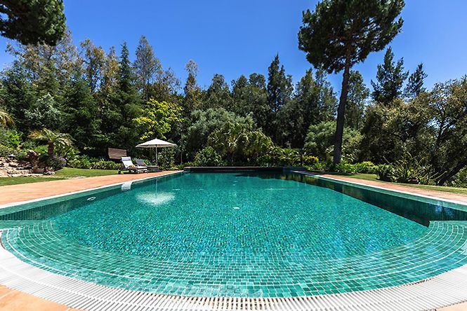 Marbella Villa Pool