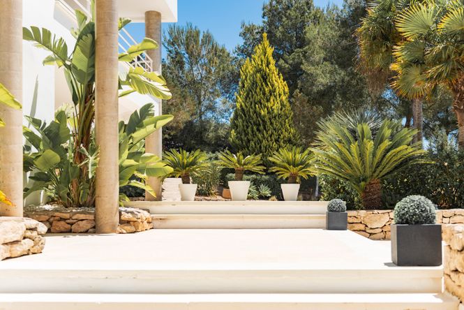 Ibiza Countryside Villa